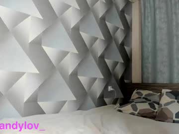 Cam for brandylov