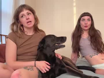 Cam for lazylittlething